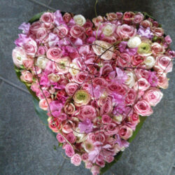 MP flowers, events & more